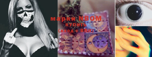гашик Домодедово