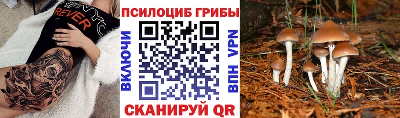 Галлюциногенные грибы MAGIC MUSHROOMS  omg tor  Харовск 